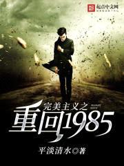完美主义之重回1985封面