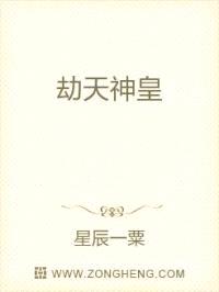 劫天神皇封面