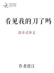 看见我的刀了吗封面
