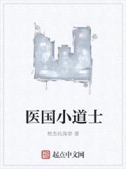 医国小道士封面