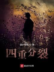 四重分裂封面