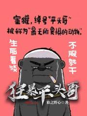 狂暴平头哥封面