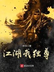 江湖我独尊封面