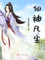 仙袖凡尘封面