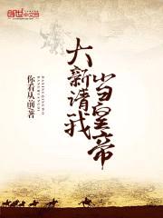 大新请我当皇帝封面