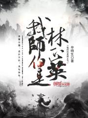 我师伯是林正英封面