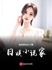 日娱小说家封面