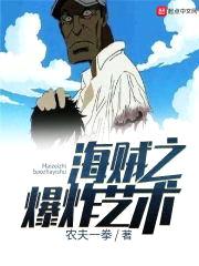 海贼之爆炸艺术封面