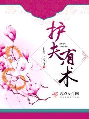 护夫有术封面