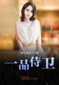 一品侍卫封面