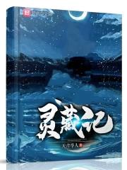 灵藏记封面