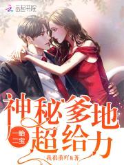 一胎二宝：神秘爹地，超给力！封面