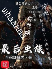 最后虫群封面
