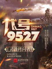 代号—9527封面