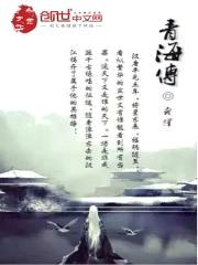 靑海传封面