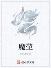 魔茔封面