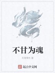 不甘为魂封面
