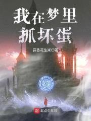 我在梦里抓坏蛋封面
