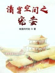 清穿空间之宠妾封面