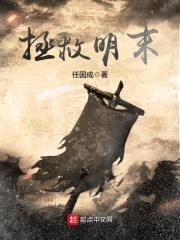 拯救明末封面