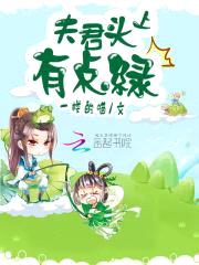夫君头上有点绿封面