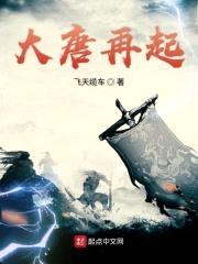 大唐再起封面