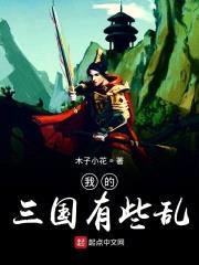 我的三国有些乱封面