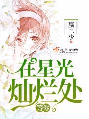 在星光灿烂处等你封面