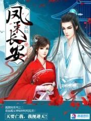 凤策长安封面