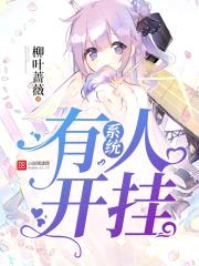 系统，有人开挂封面