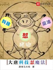 大唐科技怼魔法封面