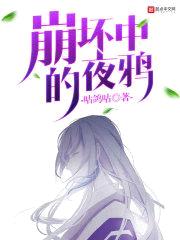 崩坏中的夜鸦封面