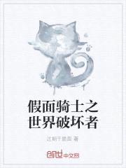 假面骑士之世界破坏者封面