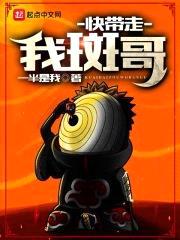快带走我斑哥封面