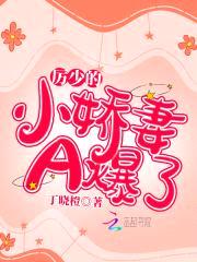 狼性总裁，超会宠！封面