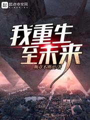 我重生至未来封面