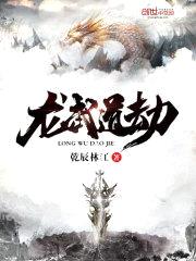 龙武道劫封面