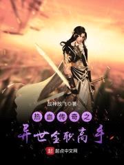 热血传奇之异世全职高手封面