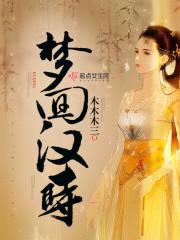 梦回汉时封面