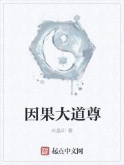 因果大道尊封面