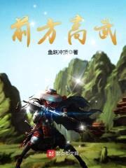 前方高武封面