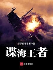 谍海王者封面