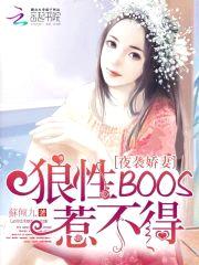 溺宠娇妻：BOSS大人惹不得封面