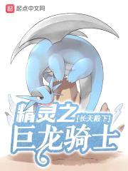精灵之巨龙骑士封面