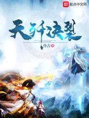 天歼决裂封面