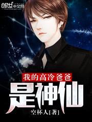 我的高冷爸爸是神仙封面