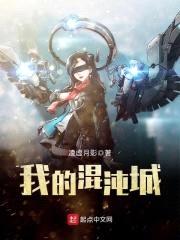 我的混沌城封面