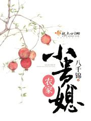 农家小贵媳封面