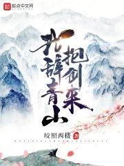 我辞青山抱剑来封面