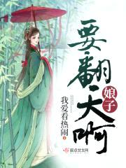 娘子要翻天啊封面